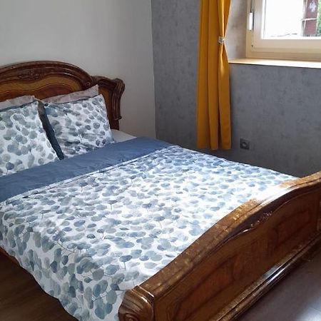 Studio Privee Vesoul -Wifi,Tv,Clim,Parking Gratuit Buitenkant foto