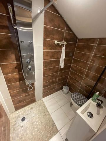 Studio Privee Vesoul -Wifi,Tv,Clim,Parking Gratuit Buitenkant foto
